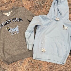 Kids Gray and Light Blue Goat Graphic Sweatshirts